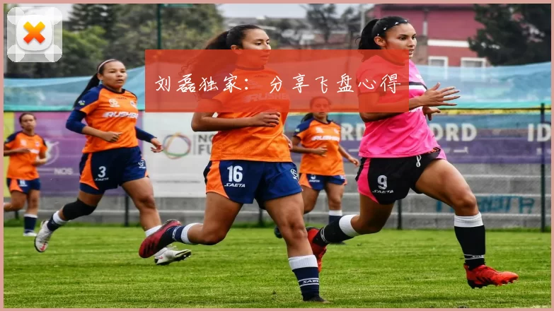 刘磊独家：分享飞盘心得