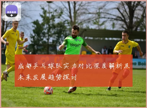 成都乒乓球队实力对比深度解析及未来发展趋势探讨