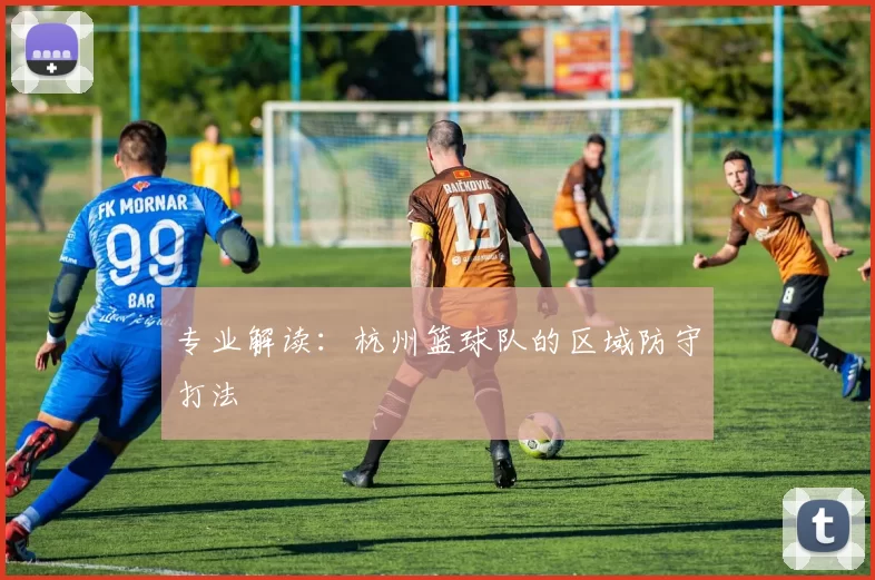 专业解读：杭州篮球队的区域防守打法
